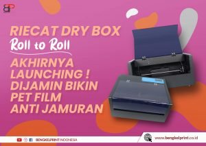 jual RIECAT Kit DRY BOX 2022