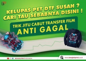 tutorial Cara Cabut PET DTF mudah